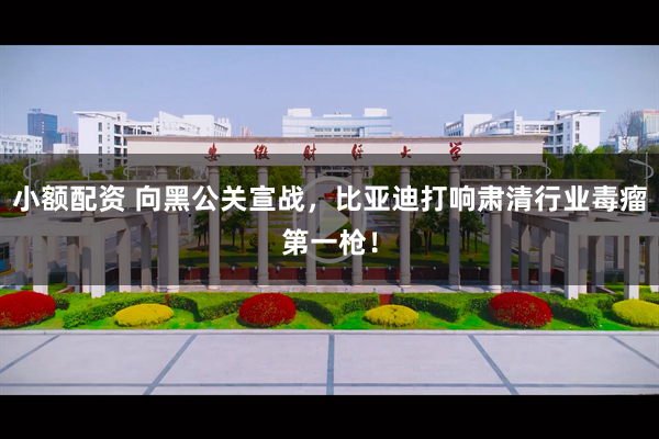 小额配资 向黑公关宣战，比亚迪打响肃清行业毒瘤第一枪！