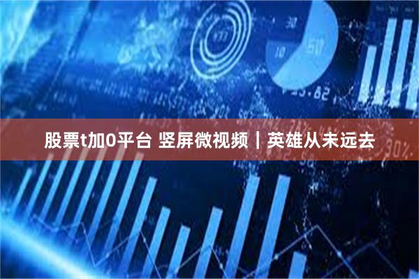 股票t加0平台 竖屏微视频｜英雄从未远去
