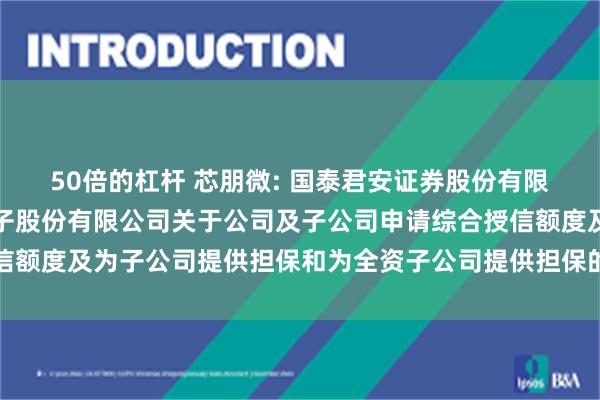 50倍的杠杆 芯朋微: 国泰君安证券股份有限公司关于无锡芯朋微电子股份有限公司关于公司及子公司申请综合授信额度及为子公司提供担保和为全资子公司提供担保的核查意见内容摘要