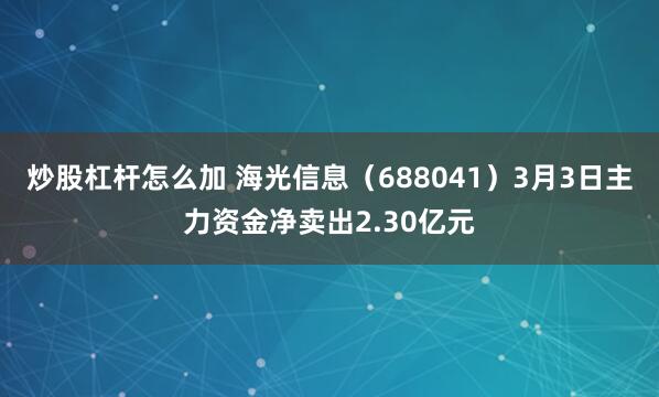 炒股杠杆怎么加 海光信息（688041）3月3日主力资金净卖出2.30亿元