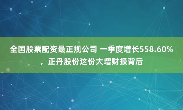 全国股票配资最正规公司 一季度增长558.60%，正丹股份这份大增财报背后