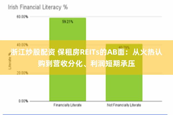 浙江炒股配资 保租房REITs的AB面：从火热认购到营收分化、利润短期承压
