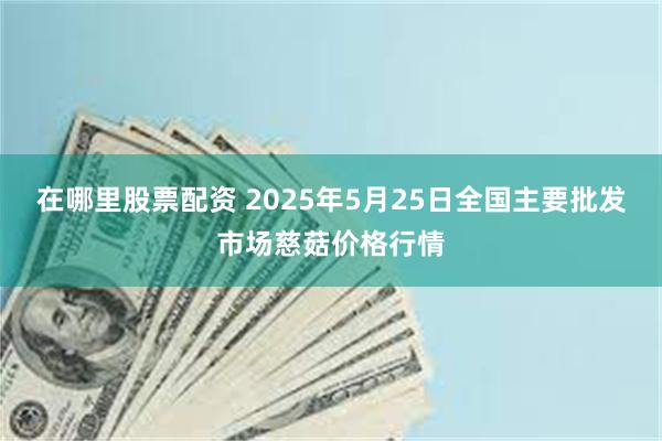在哪里股票配资 2025年5月25日全国主要批发市场慈菇价格行情