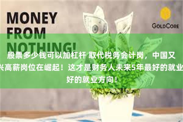 股票多少钱可以加杠杆 取代税务会计岗，中国又一新兴高薪岗位在崛起！这才是财务人未来5年最好的就业方向！
