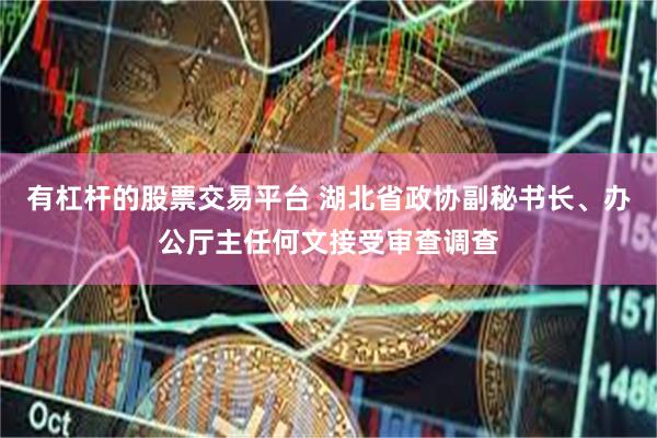 有杠杆的股票交易平台 湖北省政协副秘书长、办公厅主任何文接受审查调查