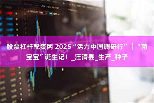 股票杠杆配资网 2025“活力中国调研行”｜“菌宝宝”诞生记！_汪清县_生产_种子