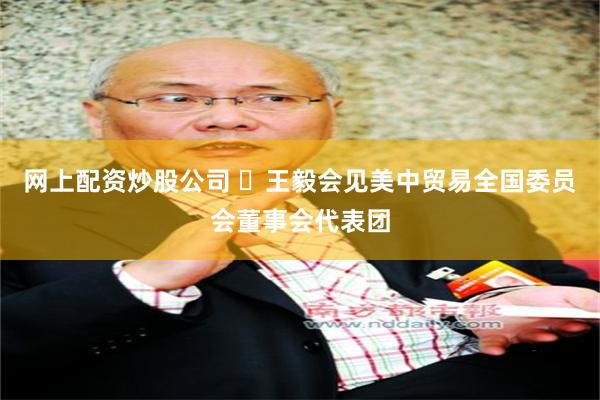 网上配资炒股公司 ​王毅会见美中贸易全国委员会董事会代表团