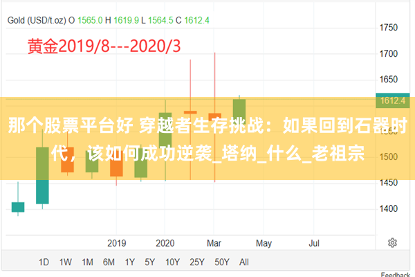那个股票平台好 穿越者生存挑战：如果回到石器时代，该如何成功逆袭_塔纳_什么_老祖宗