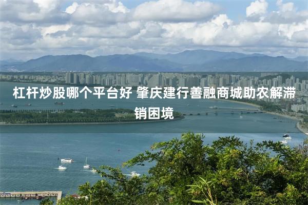 杠杆炒股哪个平台好 肇庆建行善融商城助农解滞销困境
